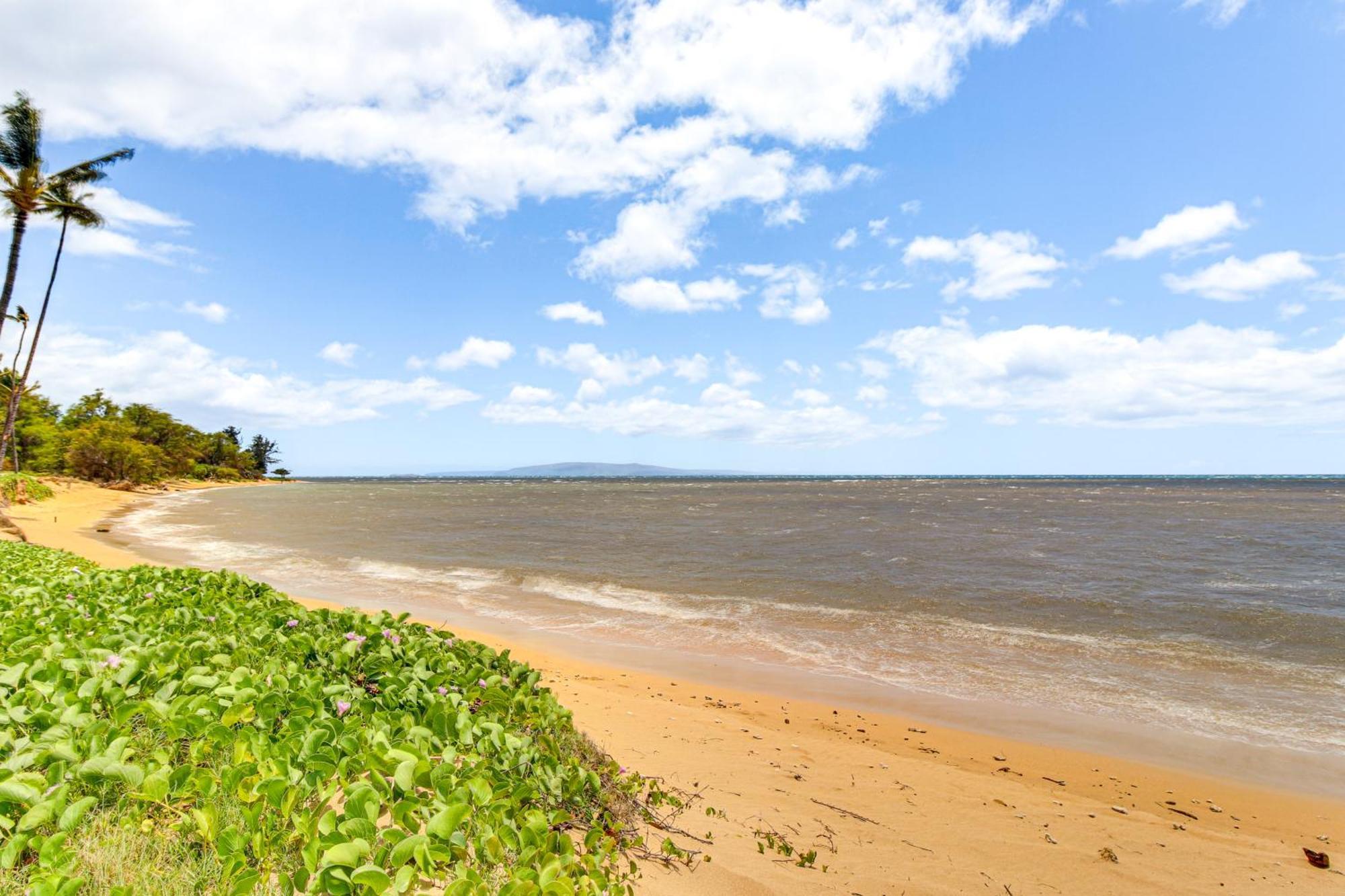 Gorgeous Oceanfront Condo With Spectacular Views! Kihei Exterior photo