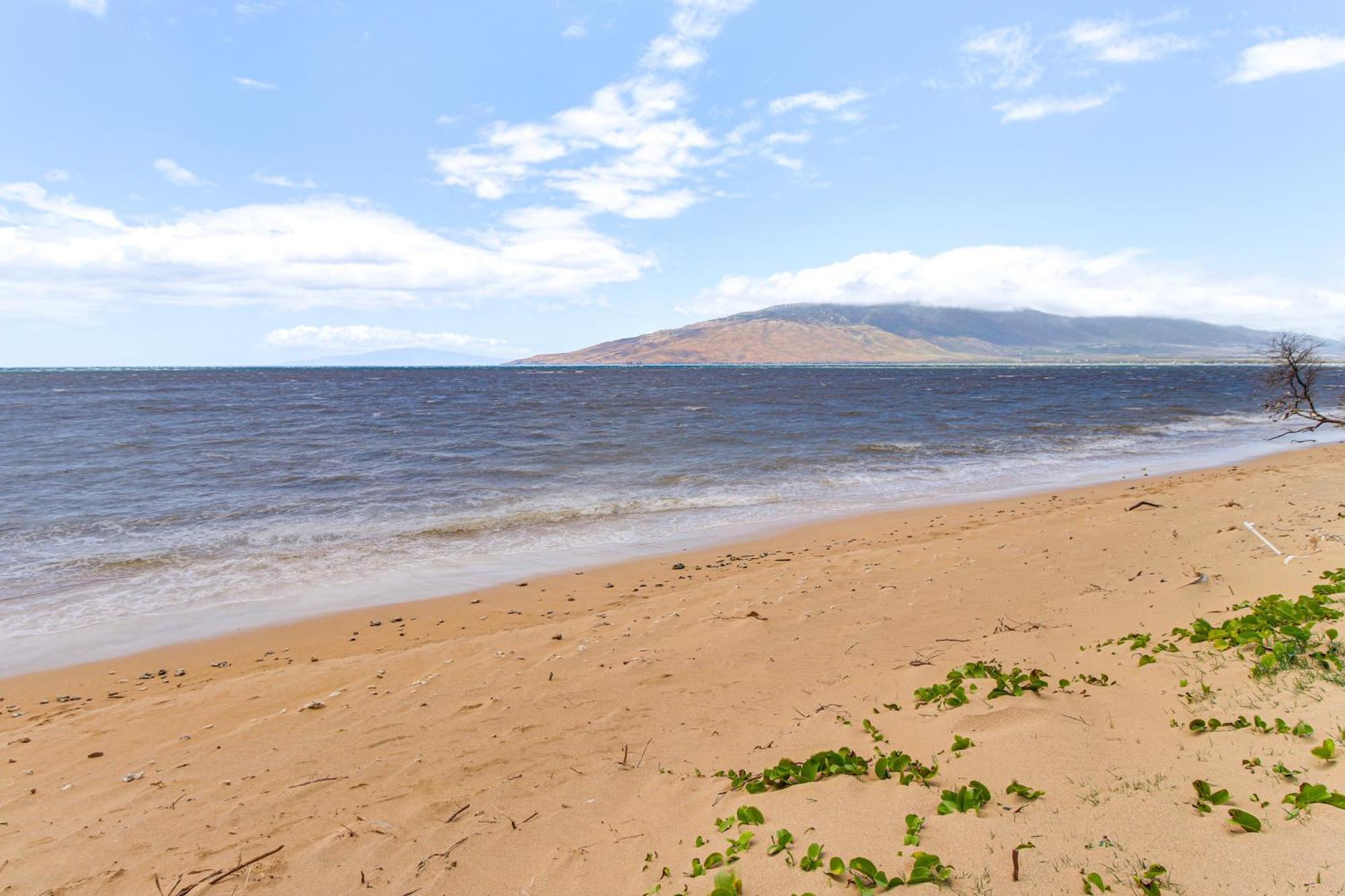 Gorgeous Oceanfront Condo With Spectacular Views! Kihei Exterior photo